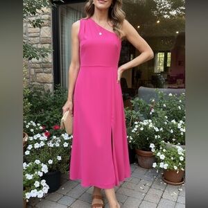 Alexia Admor Vibrant Pink Maxi Dress
